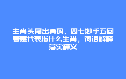 生肖头尾出真码，四七妙手五回春是代表指什么生肖，词语解释落实释义