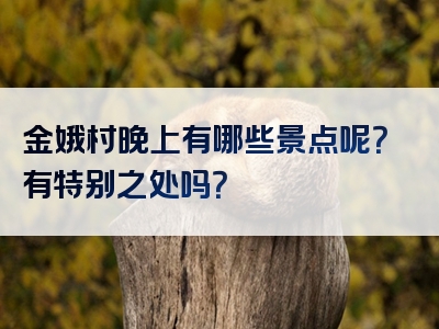 金娥村晚上有哪些景点呢？有特别之处吗？