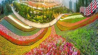 十里蓝山花海（十里蓝山花海图片）