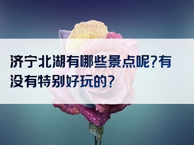 济宁北湖有哪些景点呢？有没有特别好玩的？