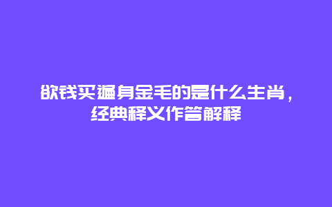 欲钱买遍身金毛的是什么生肖，经典释义作答解释