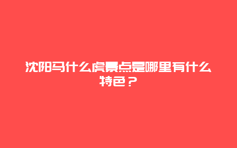 沈阳马什么虎景点是哪里有什么特色？