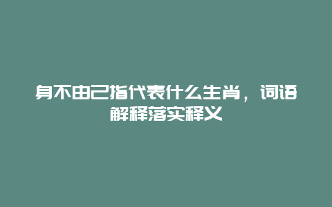 身不由己指代表什么生肖，词语解释落实释义