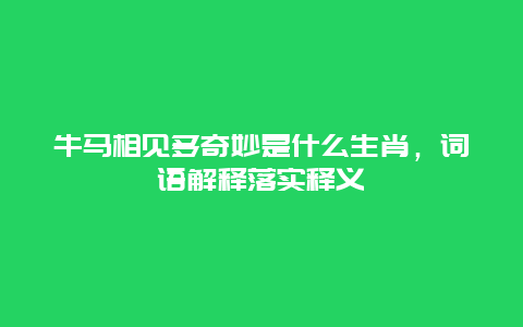 牛马相见多奇妙是什么生肖，词语解释落实释义