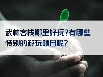 武林客栈哪里好玩？有哪些特别的游玩项目呢？