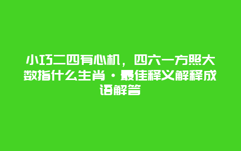 小巧二四有心机，四六一方照大数指什么生肖·最佳释义解释成语解答