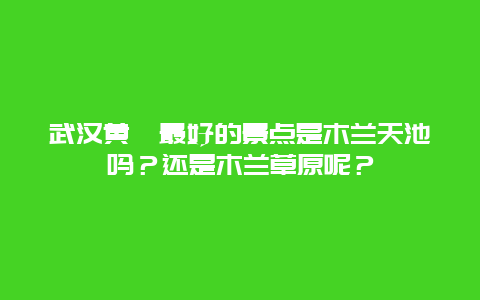 武汉黄陂最好的景点是木兰天池吗？还是木兰草原呢？