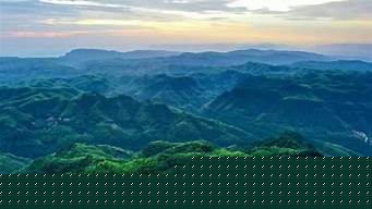 纳溪（纳溪特早茶）