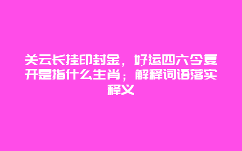 关云长挂印封金，好运四六今复开是指什么生肖；解释词语落实释义
