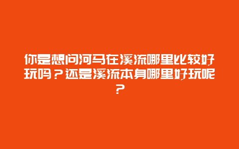你是想问河马在溪流哪里比较好玩吗？还是溪流本身哪里好玩呢？
