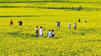 民乐扁都口（民乐扁都口简介）