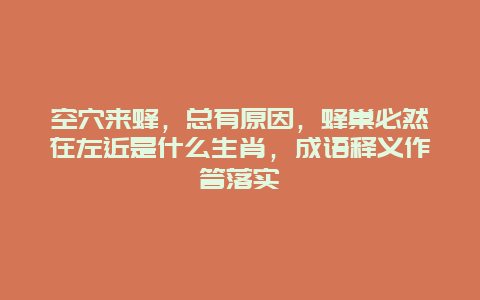 空穴来蜂，总有原因，蜂巢必然在左近是什么生肖，成语释义作答落实