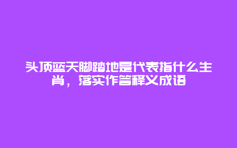 头顶蓝天脚踏地是代表指什么生肖，落实作答释义成语