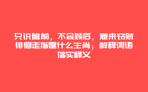 只识瞻前，不会顾后，惹来窃贼徘徊走指是什么生肖；解释词语落实释义