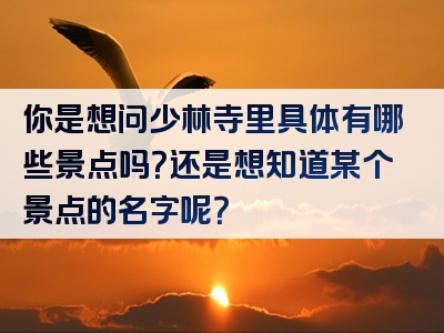 你是想问少林寺里具体有哪些景点吗？还是想知道某个景点的名字呢？
