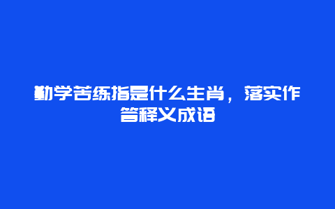 勤学苦练指是什么生肖，落实作答释义成语
