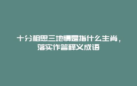 十分相思三地情是指什么生肖，落实作答释义成语
