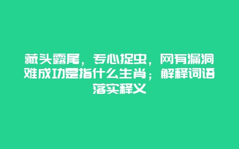 藏头露尾，专心捉虫，网有漏洞难成功是指什么生肖；解释词语落实释义