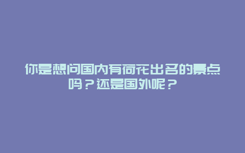 你是想问国内有荷花出名的景点吗？还是国外呢？