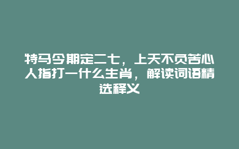 特马今期定二七，上天不负苦心人指打一什么生肖，解读词语精选释义