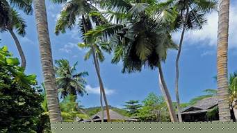 塞舌尔（塞舌尔是发达国家吗）