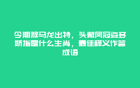 今期猴马龙出特，头戴凤冠姿多娇指是什么生肖，最佳释义作答成语