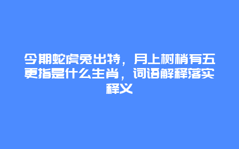今期蛇虎兔出特，月上树梢有五更指是什么生肖，词语解释落实释义