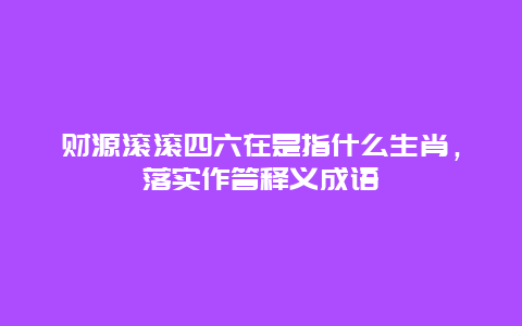 财源滚滚四六在是指什么生肖，落实作答释义成语