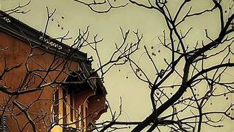 昆山锦溪（昆山锦溪高中怎么样啊）