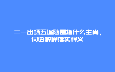 二一出场五追随是指什么生肖，词语解释落实释义