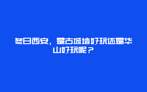 冬日西安，是古城墙好玩还是华山好玩呢？