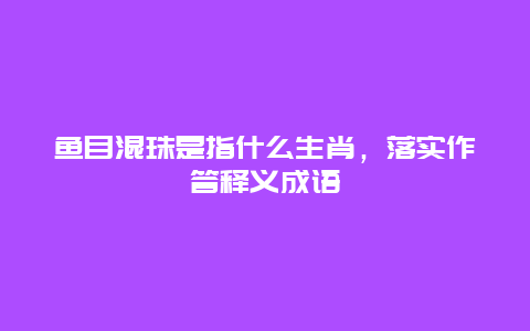 鱼目混珠是指什么生肖，落实作答释义成语