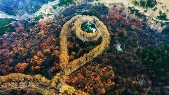 紫金山（紫金山多高）