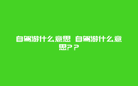 自驾游什么意思 自驾游什么意思?？