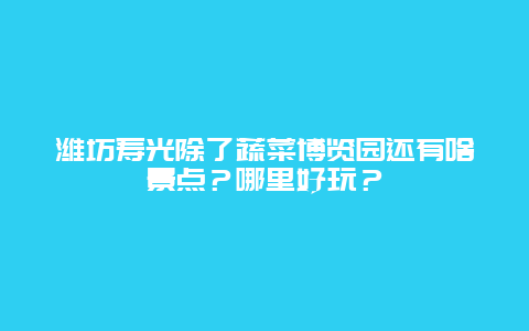 潍坊寿光除了蔬菜博览园还有啥景点？哪里好玩？