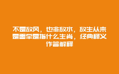 不是放风，也非放水，放生从来是善举是指什么生肖，经典释义作答解释