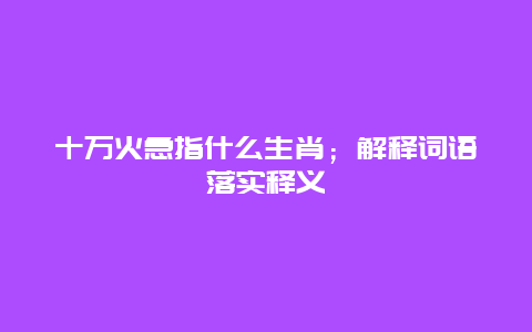 十万火急指什么生肖；解释词语落实释义