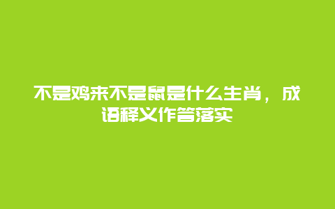 不是鸡来不是鼠是什么生肖，成语释义作答落实