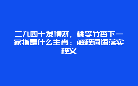 二九四十发横财，桃李竹杏下一家指是什么生肖；解释词语落实释义