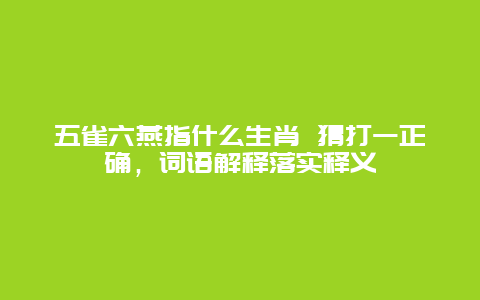 五雀六燕指什么生肖 猜打一正确，词语解释落实释义