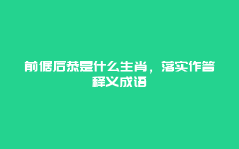 前倨后恭是什么生肖，落实作答释义成语