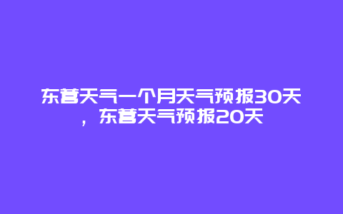 东营天气一个月天气预报30天，东营天气预报20天