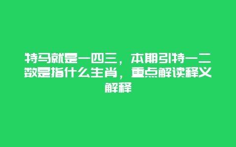 特马就是一四三，本期引特一二数是指什么生肖，重点解读释义解释