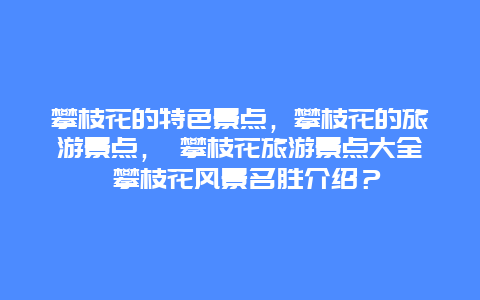 攀枝花的特色景点，攀枝花的旅游景点， 攀枝花旅游景点大全 攀枝花风景名胜介绍？