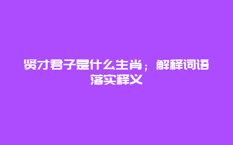 贤才君子是什么生肖；解释词语落实释义