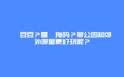 遛豆豆？是遛狗吗？那公园和郊外哪里更好玩呢？