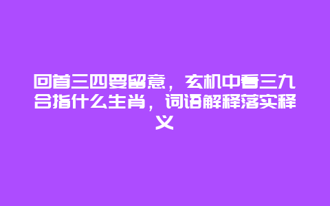 回首三四要留意，玄机中看三九合指什么生肖，词语解释落实释义