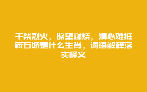 干柴烈火，欲望燃烧，清心难抵藏石娇是什么生肖，词语解释落实释义