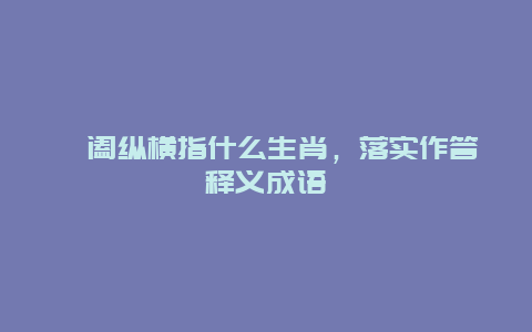 捭阖纵横指什么生肖，落实作答释义成语