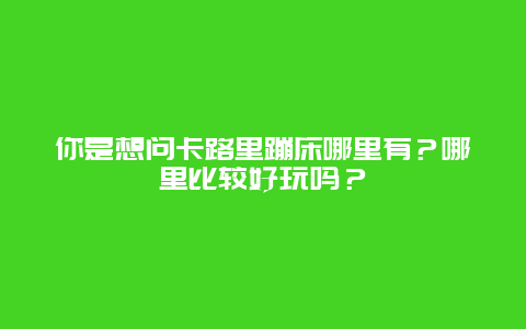 你是想问卡路里蹦床哪里有？哪里比较好玩吗？
